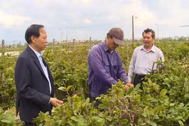 Người khuyết tật nỗ lực lao động, lan tỏa tinh thần vượt khó