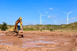 Mùa vàng Plei Thơ Ga