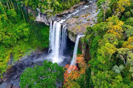 Sơn Lang thẳm xanh những cung đường rừng