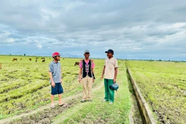 Gặt no ấm trên vùng đất khó