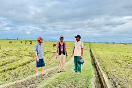 Gặt no ấm trên vùng đất khó