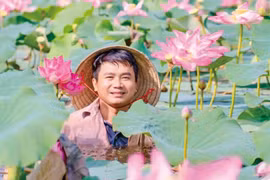 Từ ao sen quê nhà…