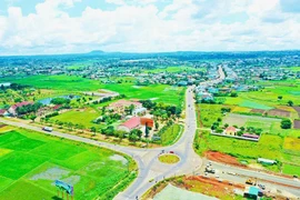 Người miền biển khởi nghiệp xanh” trên đất đỏ bazan