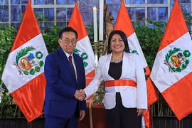 Thủ tướng Peru Denisse Miralles từ chức chỉ sau 21 ngày nhậm chức