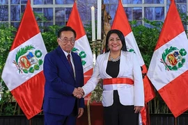 Thủ tướng Peru Denisse Miralles từ chức chỉ sau 21 ngày nhậm chức