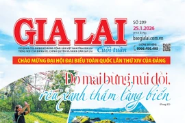 Báo Gia Lai số cuối tuần ngày 25-1-2026