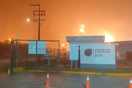 Cháy tại nhà máy lọc dầu Olmeca ở Mexico, 5 người thiệt mạng