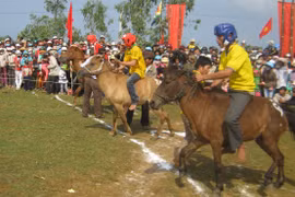 Ngàn năm bóng ngựa