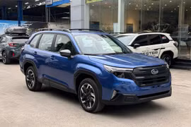 Nhiều mẫu xe mới ra mắt Việt Nam đã khan hàng trước Tết