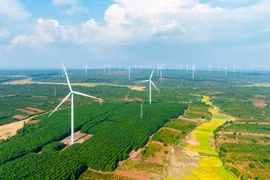 Tháo gỡ “điểm nghẽn” để phát triển năng lượng bền vững