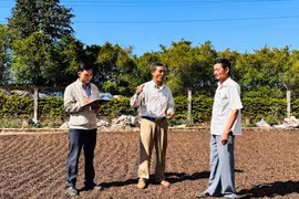 Chuyện ông Tiến ở Cát Mỹ