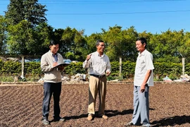 Chuyện ông Tiến ở Cát Mỹ