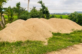 Sông Kim Sơn sạt lở nghiêm trọng vì “cát tặc”