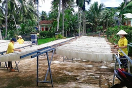 Lao động thời vụ dịp Tết: Lương cao cũng không dễ tuyển