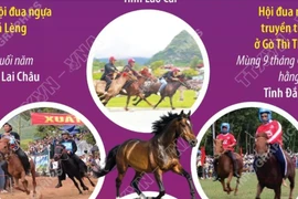 Một số lễ hội và giải đua ngựa truyền thống ở Việt Nam