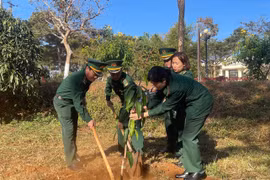 Bộ đội Biên phòng tỉnh Gia Lai phát động Tết trồng cây