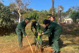 Bộ đội Biên phòng tỉnh Gia Lai phát động Tết trồng cây