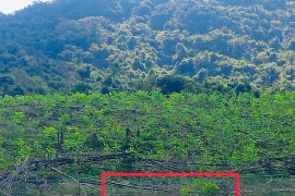 Công an tỉnh Gia Lai đang điều tra vụ phát hiện thi thể nổi trên mặt hồ ở xã Phù Mỹ Tây.