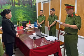 Công an tỉnh Gia Lai đã bắt tạm giam nguyên hiệu trưởng Trường Mẫu giáo Kon Pne vì hành vi chỉ đạo lập khống hồ sơ rút ruột ngân sách gần nửa tỷ đồng.