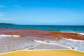 Nước biển Hoài Nhơn Bắc đổi màu không phải do hiện tượng thủy triều đỏ.