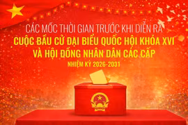5 mốc thời gian quan trọng cử tri cần nhớ trước ngày 15/3