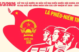 Quy trình bỏ phiếu đúng luật 