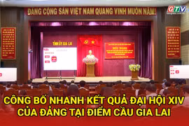 Gia Lai 24h: Tăng cường kiểm soát tải trọng ngay từ đầu nguồn bốc xếp