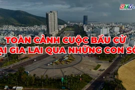 Toàn cảnh cuộc bầu cử tại Gia Lai qua những con số