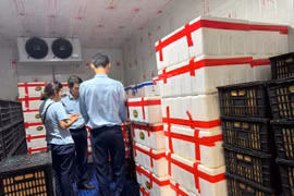 Cán bộ Đội Quản lý thị trường số 4 kiểm tra kho lạnh bảo quản quả tươi của hộ kinh doanh L.D. (ở phường Bình Định, Gia Lai).