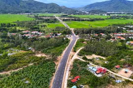 Lung linh tuyến đường 800 tỷ băng rừng, vắt ngang cánh đồng