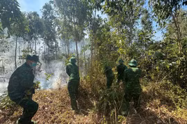 Đồn Biên phòng Mỹ An kịp thời dập tắt cháy rừng