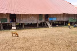  Gia Lai: Thêm một ca tử vong do bệnh dại