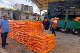 Gia Lai: Hỗ trợ 30 tấn phân hữu cơ vi sinh sản xuất cà phê hữu cơ