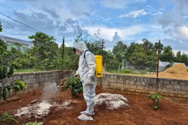 Gia Lai triển khai các biện pháp phòng-chống bệnh dịch tả heo châu Phi