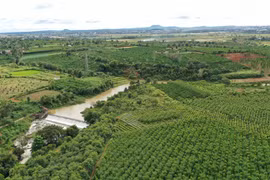 Liên kết vùng sau sáp nhập: Nền tảng cho nông nghiệp bền vững