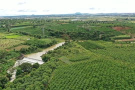 Liên kết vùng sau sáp nhập: Nền tảng cho nông nghiệp bền vững