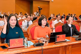 Các đại biểu biểu quyết thông qua 19 nghị quyết quan trọng. Ảnh: Đức Thụy