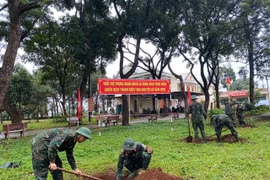 Sư đoàn 320 huy động 300 cán bộ, chiến sĩ làm công tác dân vận