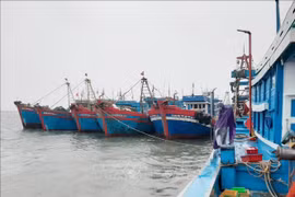 Khẩn trương ứng cứu tàu cá bị nạn trên biển do ảnh hưởng của bão số 1