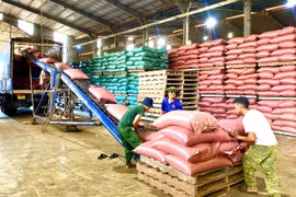 Hỗ trợ pháp lý - “lực đẩy” cho doanh nghiệp nhỏ và vừa