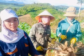 Những hạt nhân đoàn kết ở cơ sở