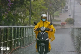 Thời tiết đêm 29 và ngày 30/6: Mưa lớn diện rộng ở Bắc Bộ