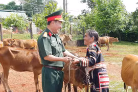 Binh đoàn 15 tiếp sức đồng bào vùng biên thoát nghèo