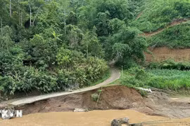 Bắc Kạn: Lũ quét, sạt lở làm 4 người thiệt mạng, 3 người bị thương