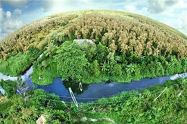 Thị trường carbon: Cơ hội lớn để Việt Nam 'mở rộng cánh cửa' phát triển xanh