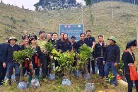 Lời thề giữa đại ngàn của đồng bào Mông - Yên Bái