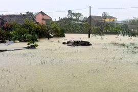 Mưa lũ có thể kéo dài đến ngày 4-11 ở khu vực từ Nghệ An đến Huế