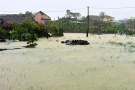 Mưa lũ có thể kéo dài đến ngày 4-11 ở khu vực từ Nghệ An đến Huế