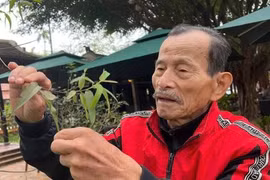 Cứ ngỡ thuốc từ động vật hoang dã là 'thần dược'