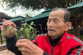 Cứ ngỡ thuốc từ động vật hoang dã là 'thần dược'